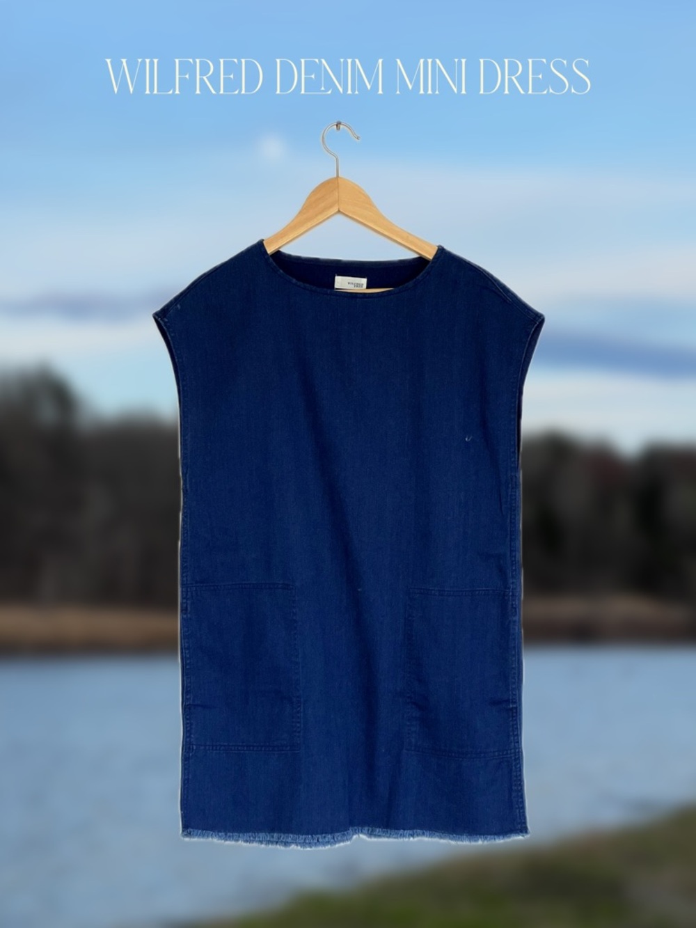 Wilfred Free Denim Mini Dress